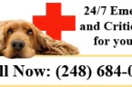 Veterinary Care Specialists